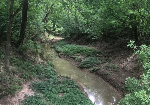 Website Location Photos (1)